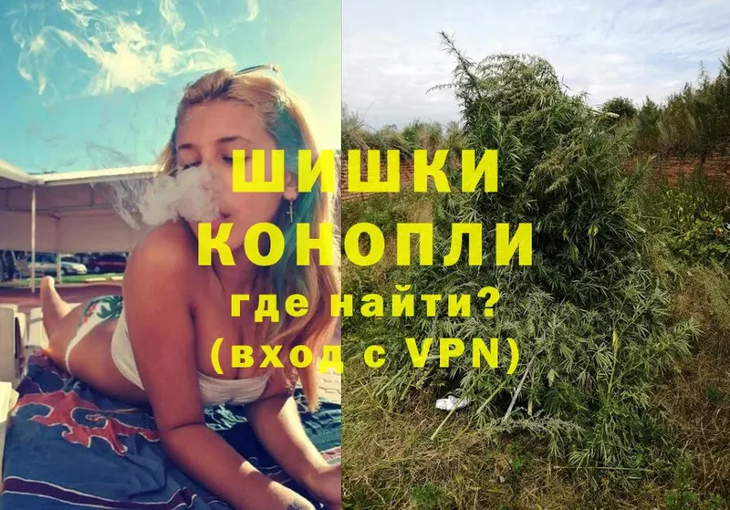 Каннабис LSD WEED  mega ссылки  Александровск 